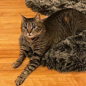 Meet your Posher, Mia